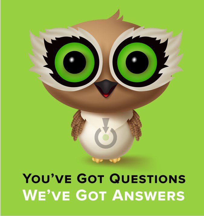 Mindspot Owl You've Got Questions, We've Got Answers